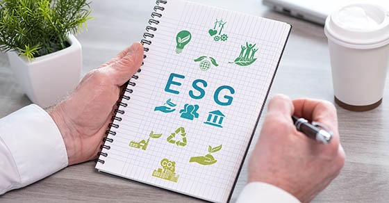 Why businesses may want to consider ESG in strategic planning